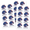 BSU Logo Stickers 2" | 24 ct