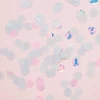 Circle iridescent confetti .5oz | 1ct