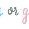 Gender Reveal Banner 7ft | 1ct