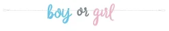 Gender Reveal Banner 7ft | 1ct
