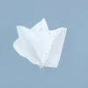 Glitter Tissue Paper | 5ct