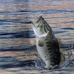 Gone Fishin Beverage Napkins 16pk | 1ct