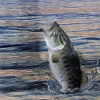 Gone Fishin Luncheon Napkins 16pk | 1ct