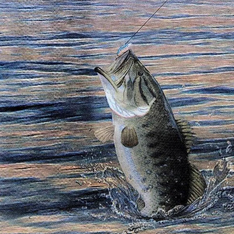 Gone Fishin Luncheon Napkins 16pk | 1ct
