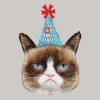 Grumpy Cat Birthday Supershape Mylar Balloon 36" | 1 ct