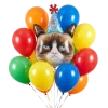 Happy Birthday Grumpy Cat Bouquet | 15pc