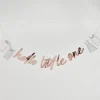 Hello Little One Baby Shower Garland | 1ct