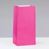 Hot Pink Paper Bag | 12ct