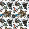 Jurassic World Rebirth Gift Wrap Roll | 1ct