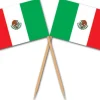 Mexican Flag Picks
