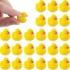 Micro Rubber Ducks | 24ct