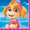 Paw Patrol Girl Beverage Napkins | 16ct