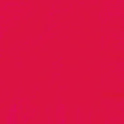 Ruby Red Dinner Napkins | 40ct