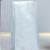 Silver Metallic Paper Bag | 10ct