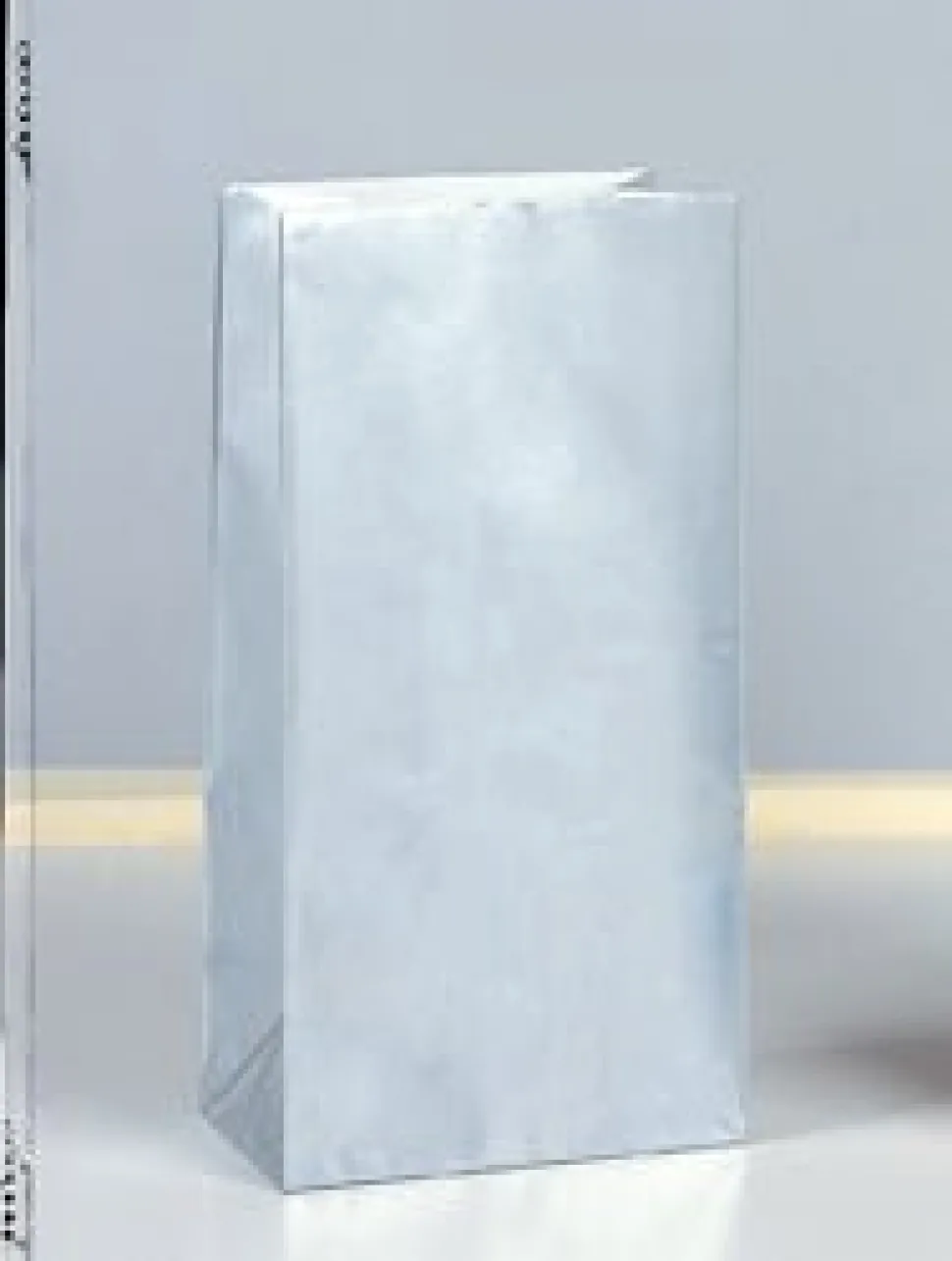 Silver Metallic Paper Bag | 10ct