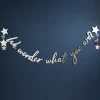 Silver & Blue We Wonder What You Are Banner | 1ct