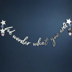Silver & Blue We Wonder What You Are Banner | 1ct