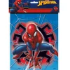 Spider-Man loot bags | 8ct