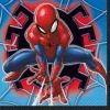 Spider-Man beverage napkins | 16ct