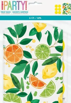 Summer Citrus Treat Bag W/ Stickers | 6ct