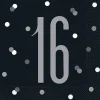 16th Birthday Black Lunch Napkins | 16ct