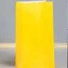 Yellow Paper Bag | 12ct