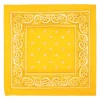 Yellow Bandana | 1ct